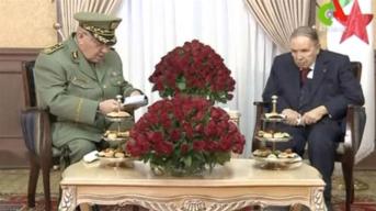 329d5a6251864612bfa5d341a9e6454c_18