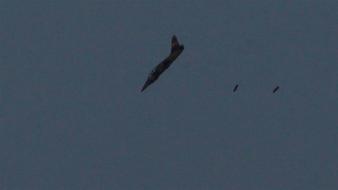 75743acb1c854ae389c2c75a8283cf46_18