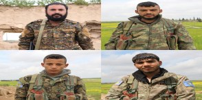 092751_071149_d985d8b5d986d8b9-d8a7d984d8b5d98ad8bamimbic-servan