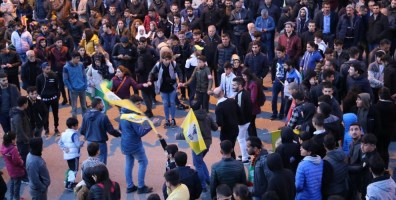 ANF_amed17e731-image