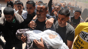 Screenshot_2019-05-15 amputasi warga palestina - Penelusuran Google