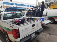 L'operazione nel porto di Veracruz_ Foto_Alejandro Ávila2