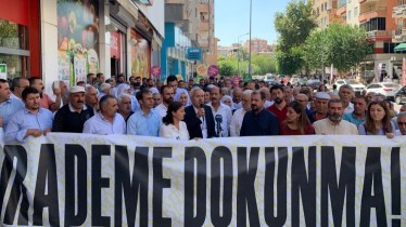 20190909-amed-jpg09056d-image