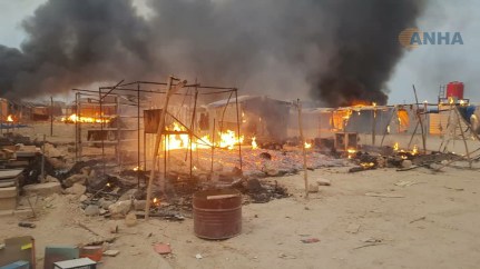 Ain Issa camp_Shervin Mustafa- Ain Issa