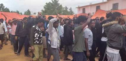 74222795_2620937261283542_7464543956609531904_n