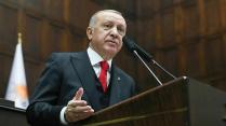 Il presidente turco Recep Tayyip Erdogan _Handout _Anadolu Agency